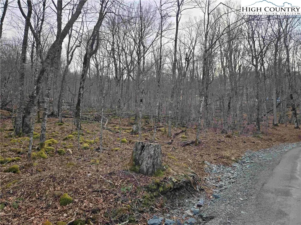 TBD Rock Spring Circle, Sugar Mountain, NC 28604 - #1