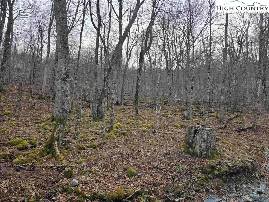 TBD Rock Spring Circle, Sugar Mountain, NC 28604 - #3