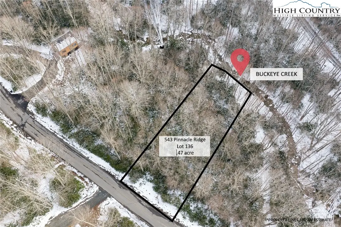 543 Pinnacle Ridge Road, Beech Mountain, NC 28604 - #1