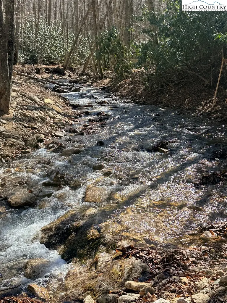 543 Pinnacle Ridge Road, Beech Mountain, NC 28604 - #3