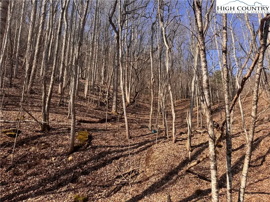 00 Us 19 Highway, Newland, NC 28657 - #3