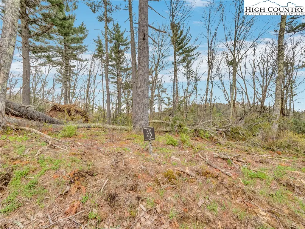 VR23 Fernwood Trail, Beech Mountain, NC 28604 - #1