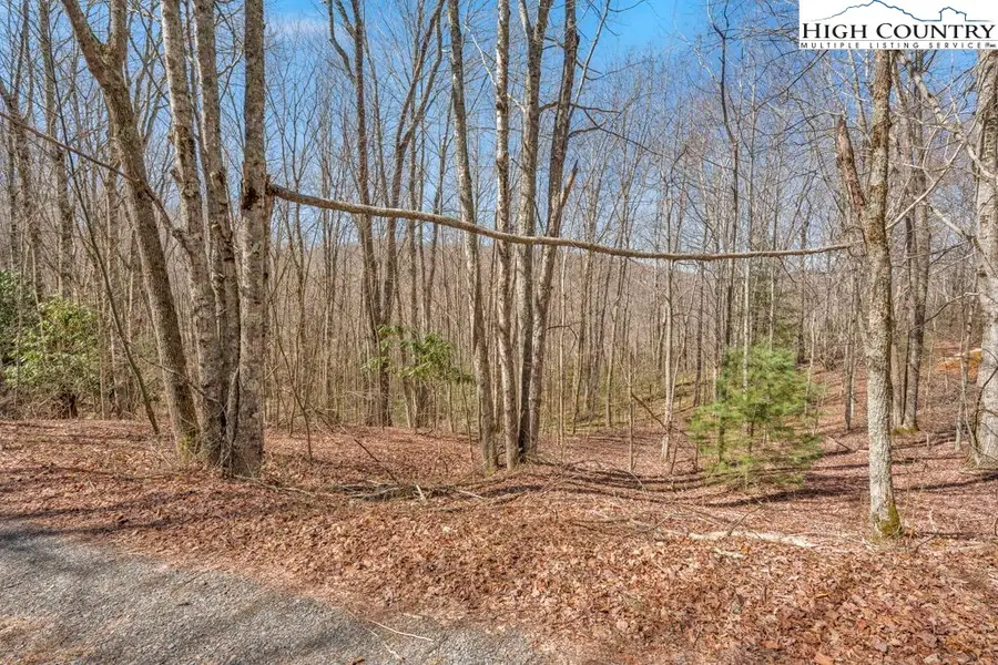 TBD Arbordale Church Road, Banner Elk, NC 28604 - #2