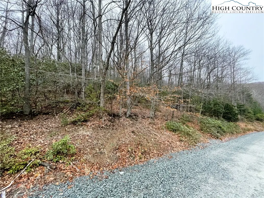308 Poplar Drive, Beech Mountain, NC 28604 - #1