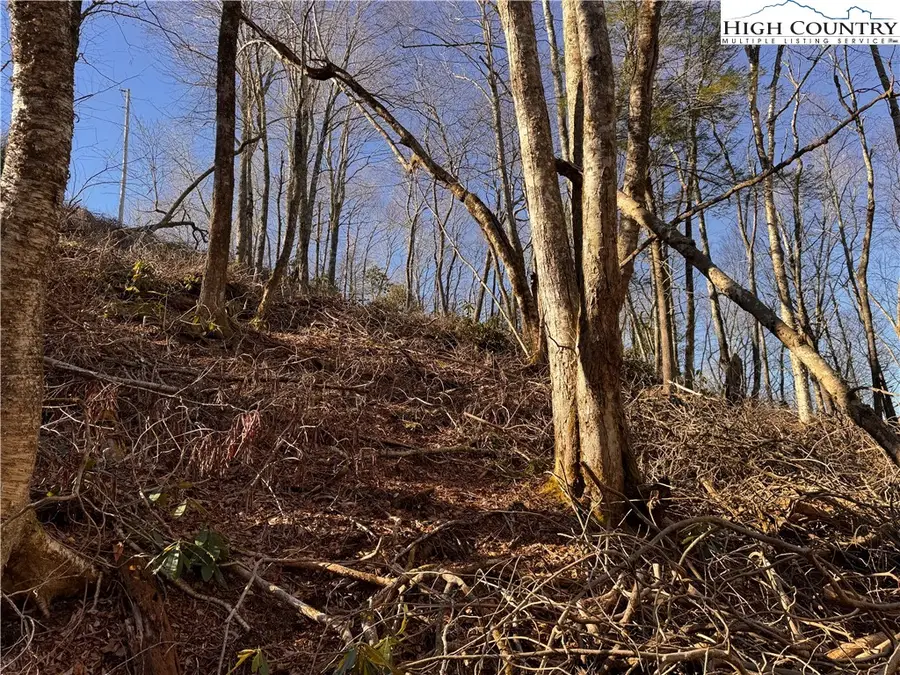 Lots 39 and 40 Snow Ridge Road, Banner Elk, NC 28604 - #2