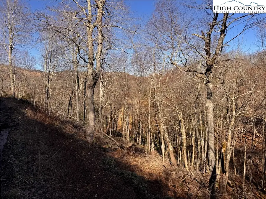 Lots 39 and 40 Snow Ridge Road, Banner Elk, NC 28604 - #3