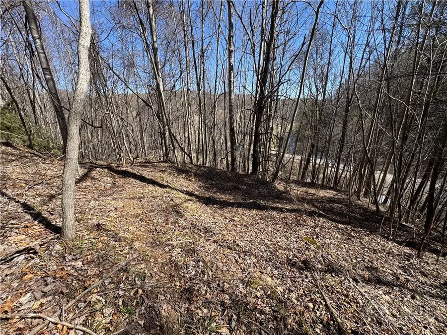 5.33 Acres Charlie King Road, Clifton, NC 28693 - #2