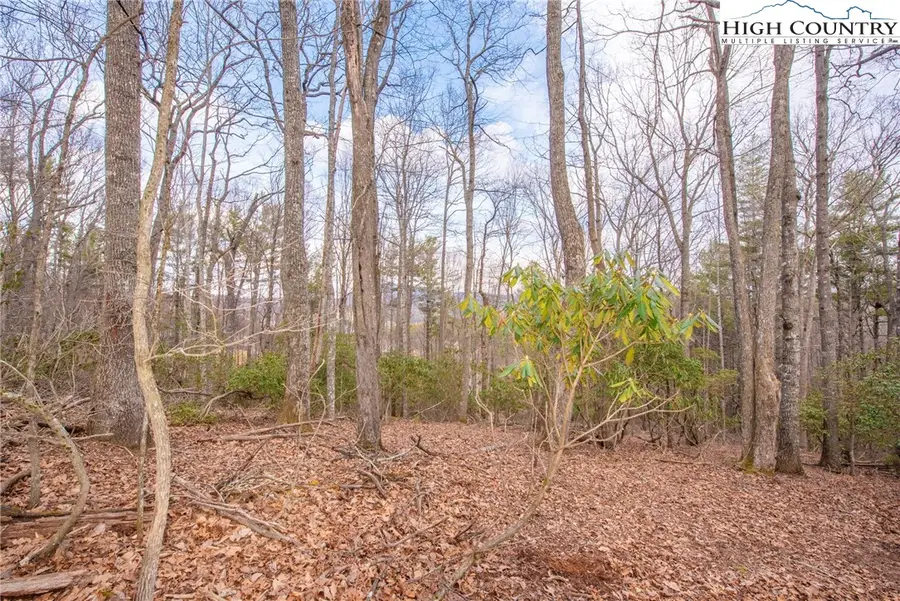 TBD High Meadows Lane, Fleetwood, NC 28626 - #3