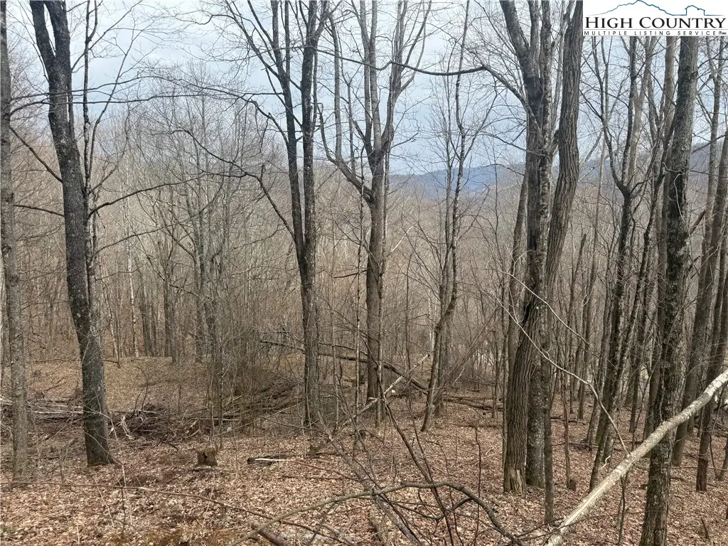 Lot 22 Jewel Weed Trail, Newland, NC 28657 - #1