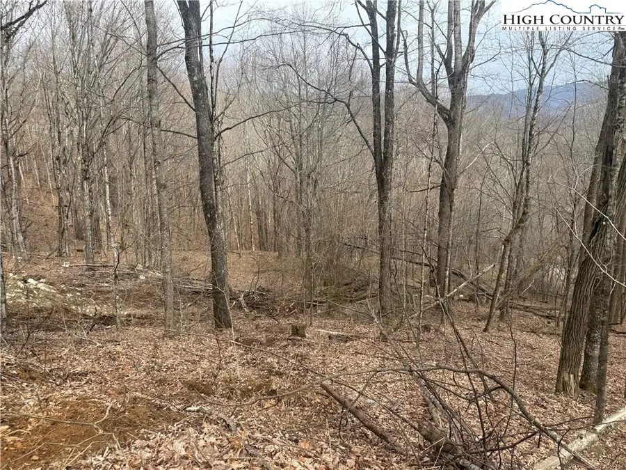 Lot 22 Jewel Weed Trail, Newland, NC 28657 - #2