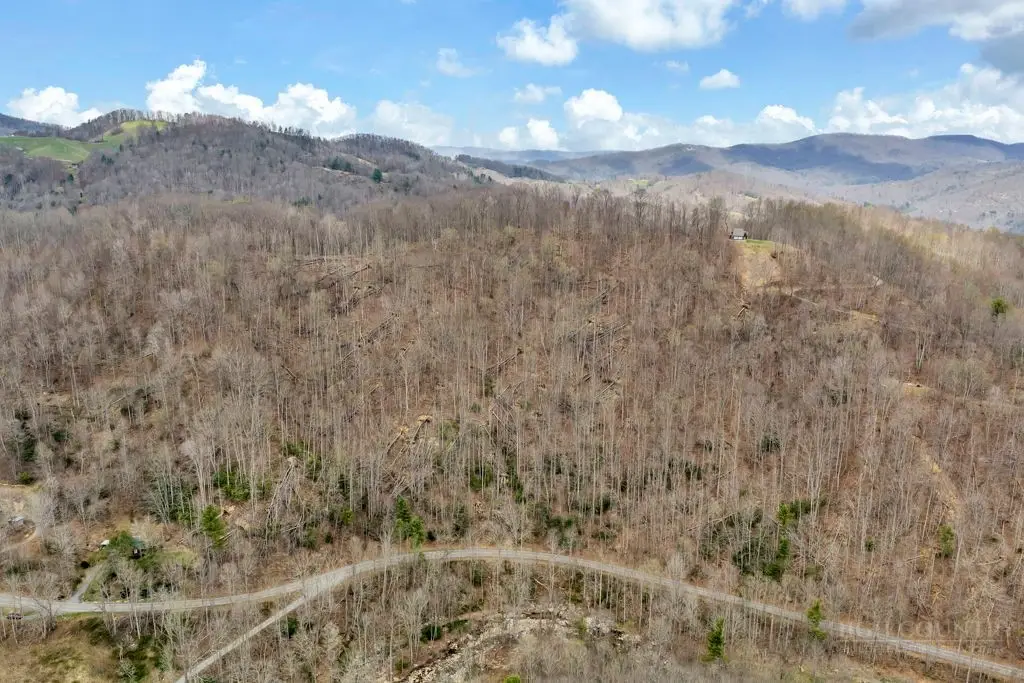 TBD Buckeye Road, Elk Park, NC 28622 - #1