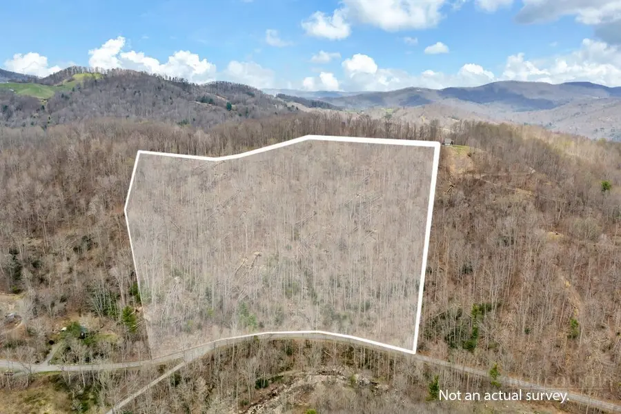 TBD Buckeye Road, Elk Park, NC 28622 - #2