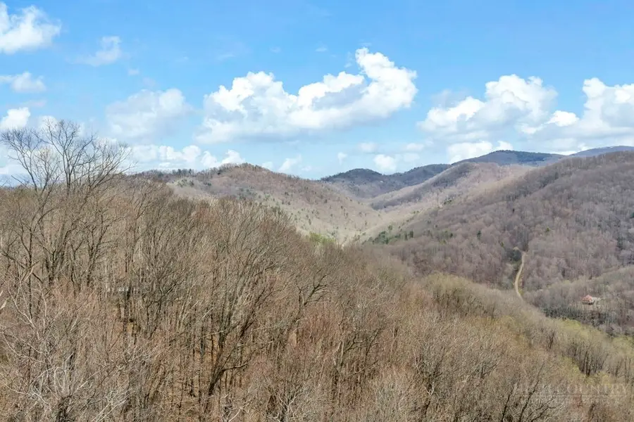 TBD Buckeye Road, Elk Park, NC 28622 - #3