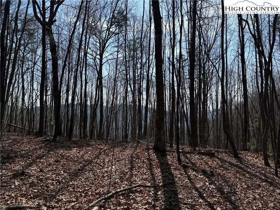 Lot 227 Deer Run Road, Purlear, NC 28665 - #2