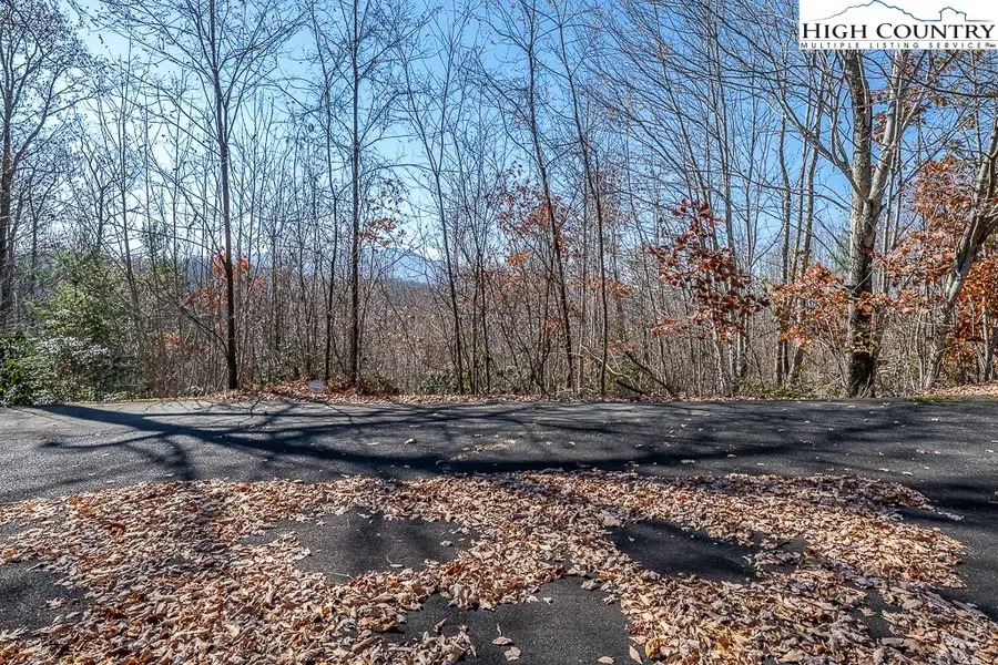 Lot 79 Bear Creek Road, Beech Mountain, NC 28604 - #2