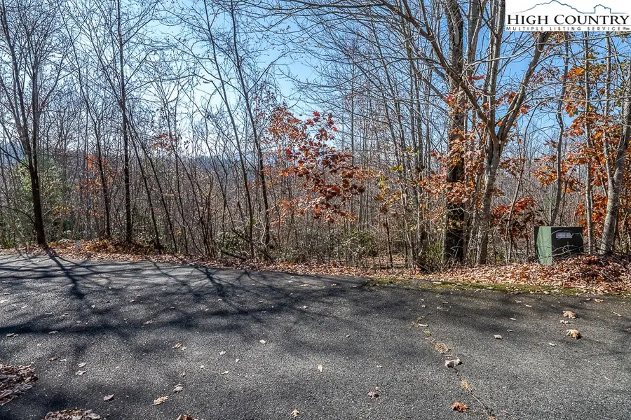 Lot 79 Bear Creek Road, Beech Mountain, NC 28604 - #3