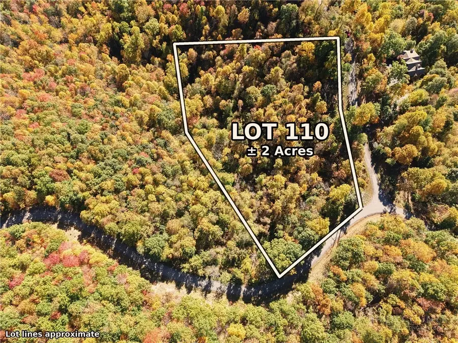 Lot 110 Settlers Knob Road, Elk Park, NC 28622 - #2