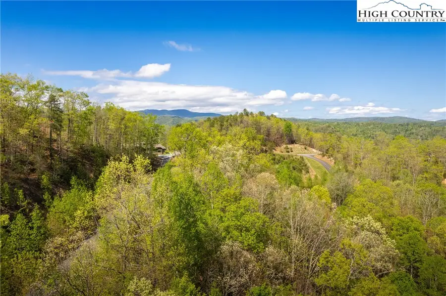 1.58 Acres Lady's Mantle (er9) Lane, Ferguson, NC 28624 - #3