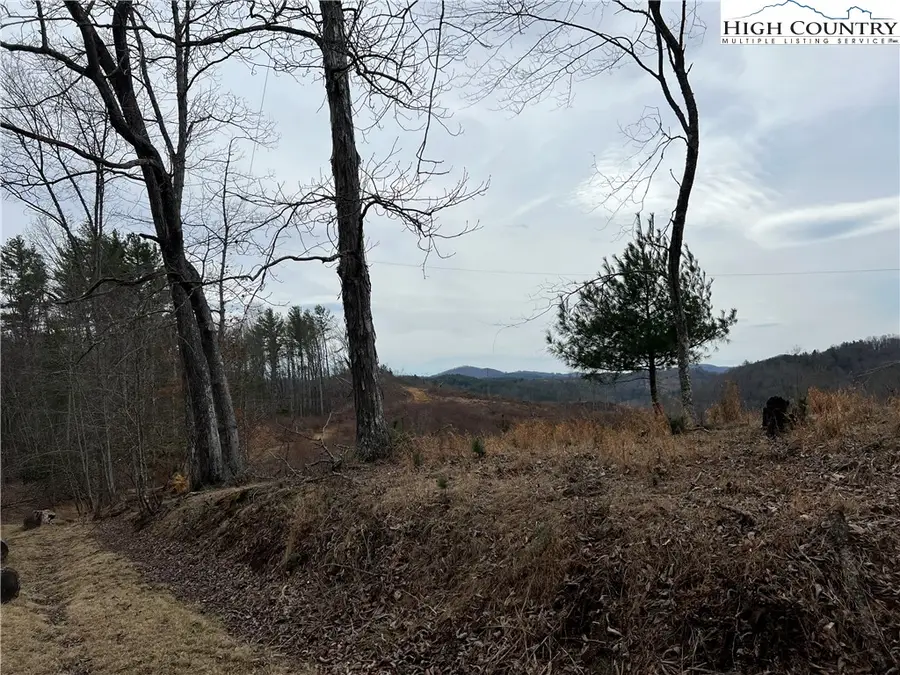 no # Edna Perry Road, Crumpler, NC 28617 - #3