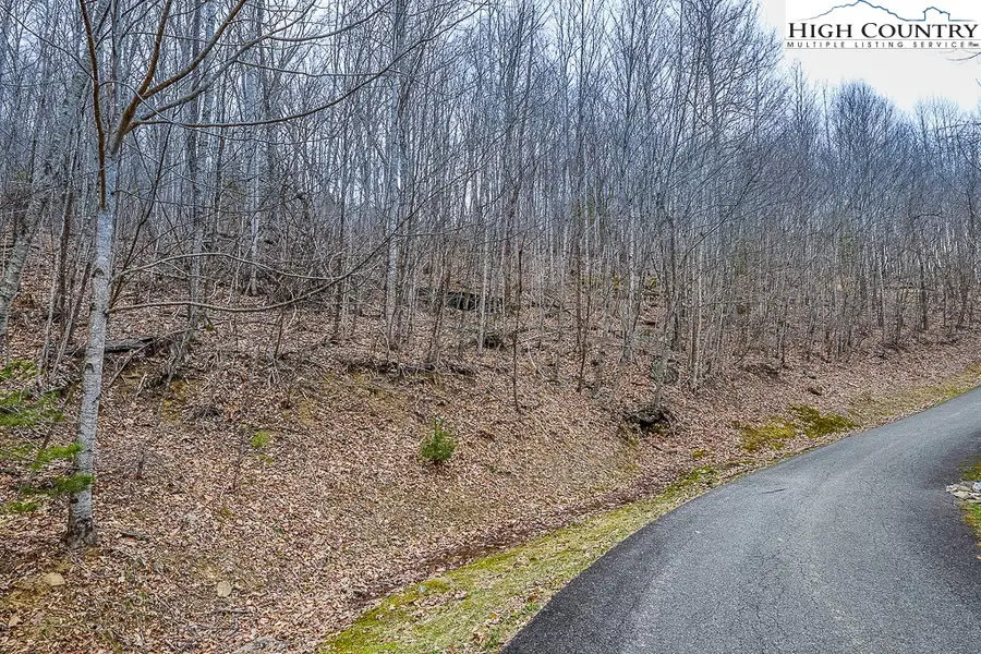 Lot 53 Pinnacle Drive, Elk Park, NC 28622 - #3