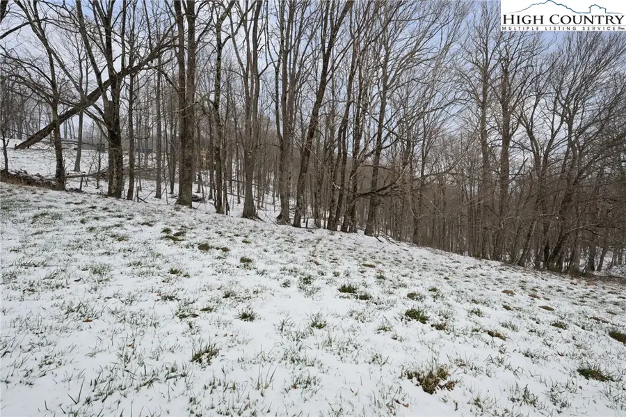 Lot 34 Poplar Forest Drive, Boone, NC 28607 - #3