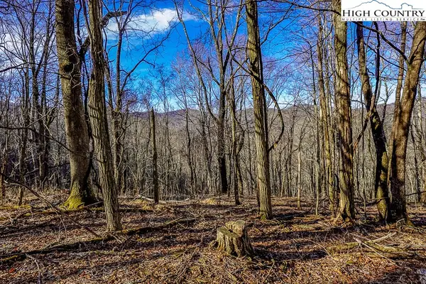 TBD Little Tree Lane, Banner Elk, NC 28604