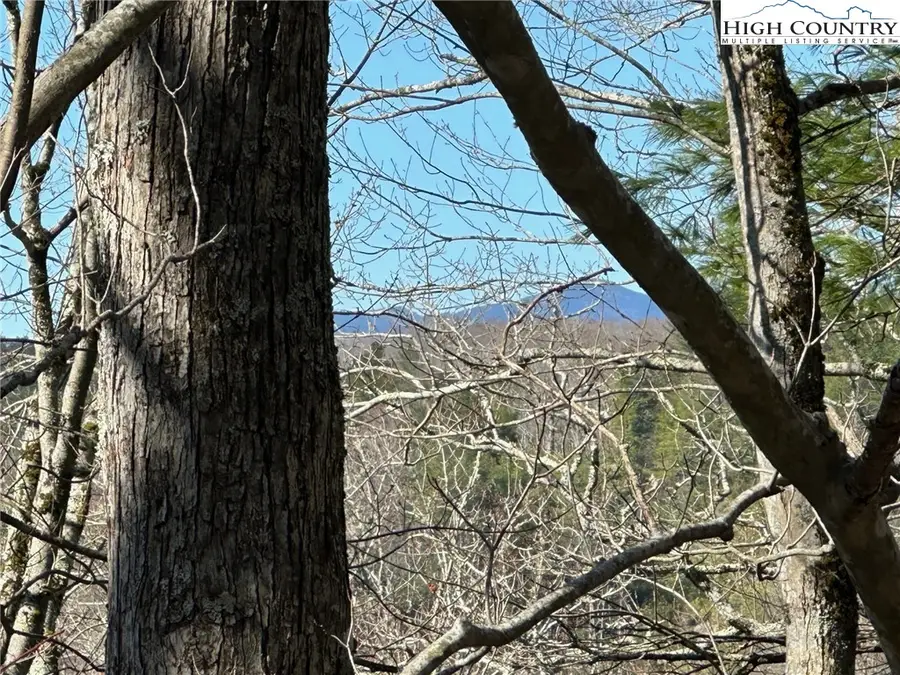 192 Ski Crest Park Drive, Blowing Rock, NC 28605 - #2