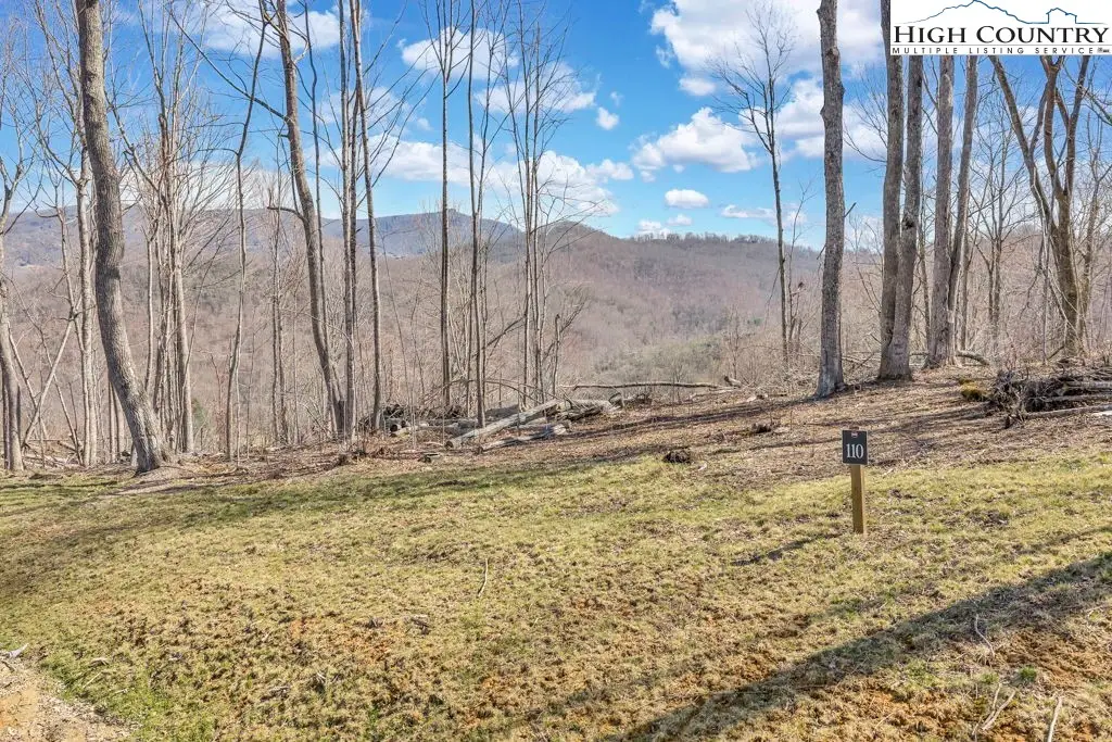 110 Blacksmith Circle, Elk Park, NC 28622 - #1