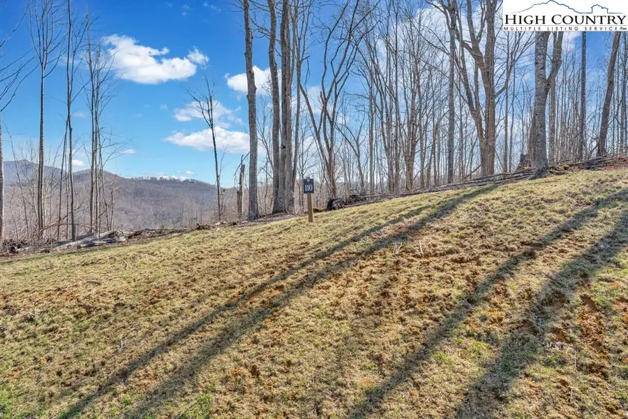 110 Blacksmith Circle, Elk Park, NC 28622 - #3