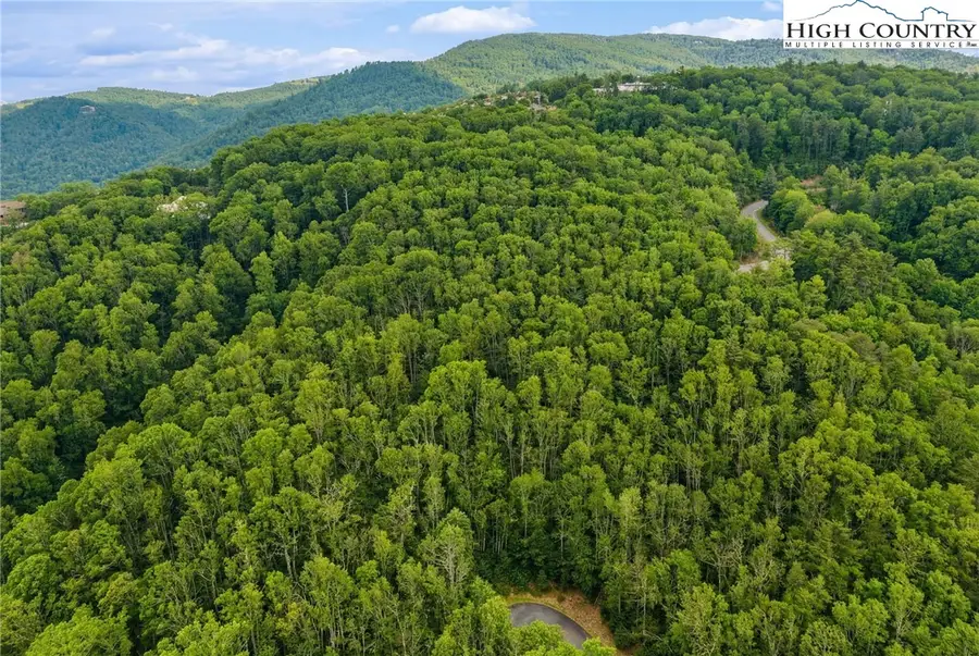 Lot 8 Heavenly Mountain Drive, Boone, NC 28607 - #2
