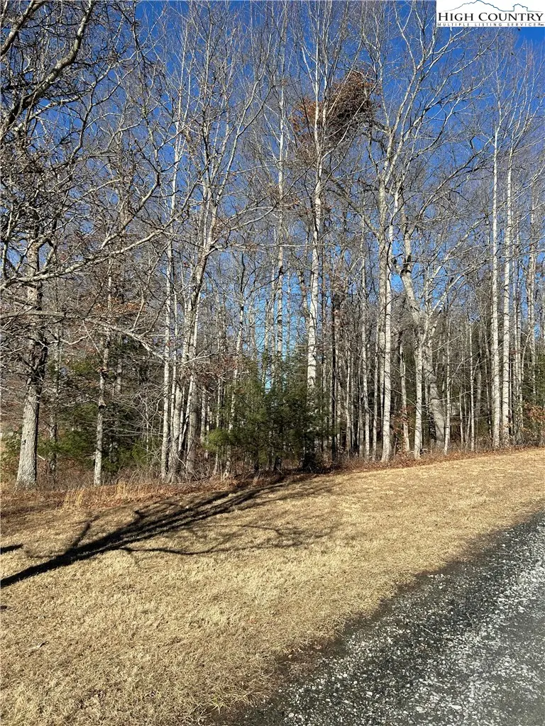 Lot 23 Bear Den Road, Sparta, NC 28675 - #1