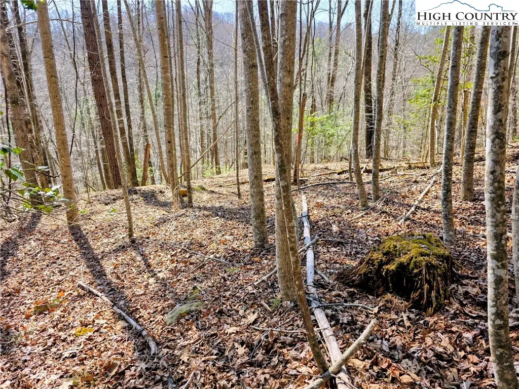 TBD Powder Horn Mountain Road, Deep Gap, NC 28618 - #1