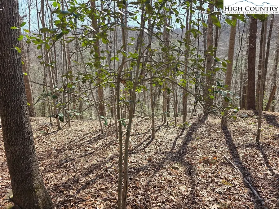 TBD Powder Horn Mountain Road, Deep Gap, NC 28618 - #3