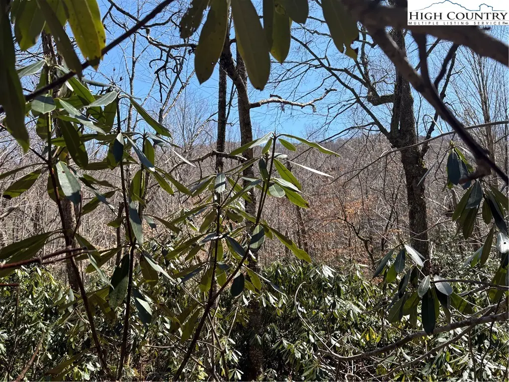 Tract 3 Mountain Vista Lane, Banner Elk, NC 28604 - #1