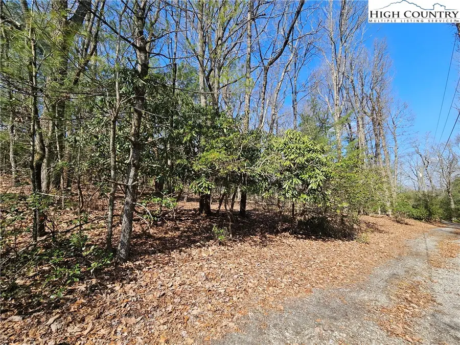 TBD Mount Retreat Road, Roaring Gap, NC 28668 - #2