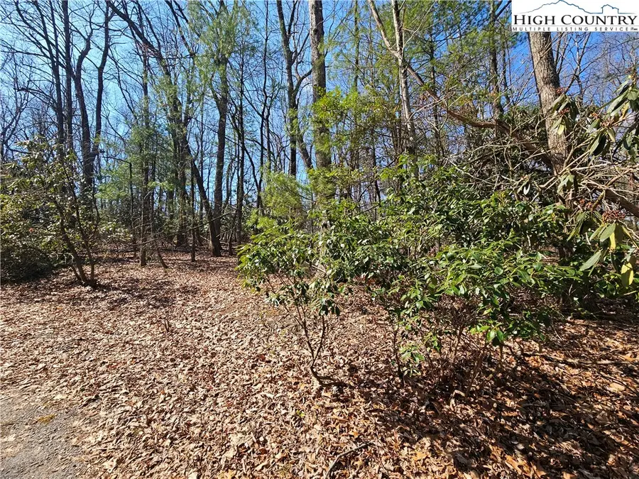 TBD Mount Retreat Road, Roaring Gap, NC 28668 - #3