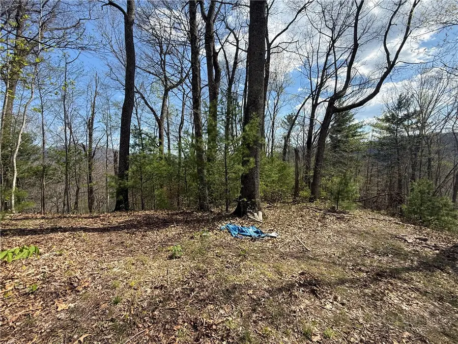 TBD Lonesome Pine Trail, Butler, TN 37640 - #2