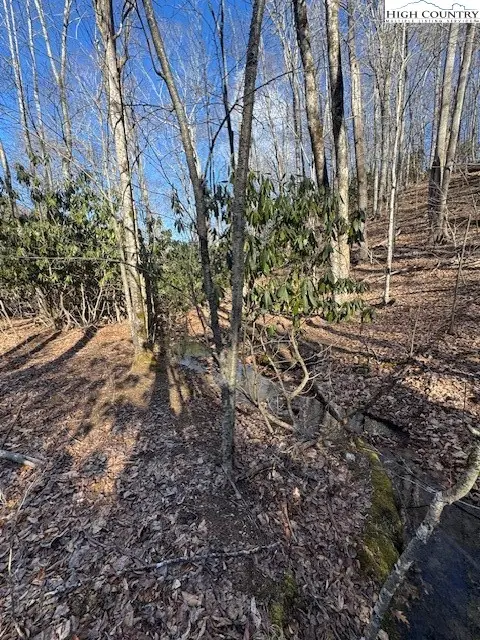 TBD Bald Mountain Road, West Jefferson, NC 28694