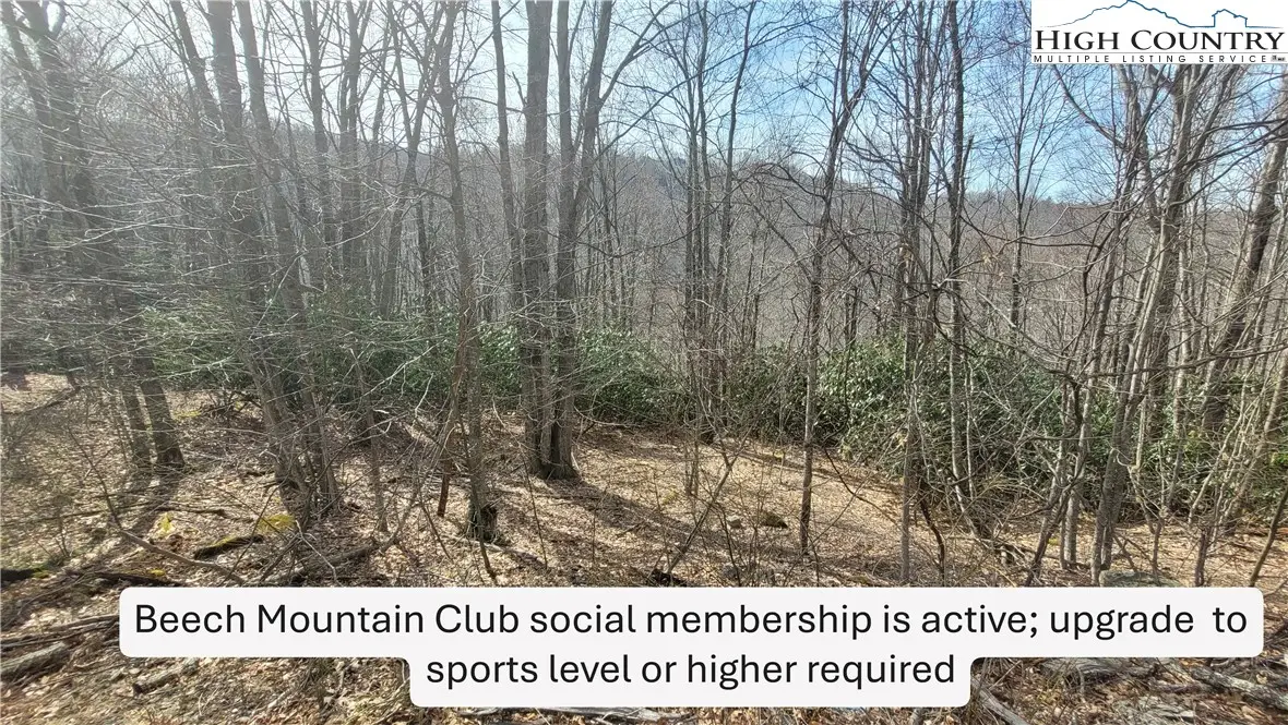 327 Locust Ridge Road, Beech Mountain, NC 28604 - #1