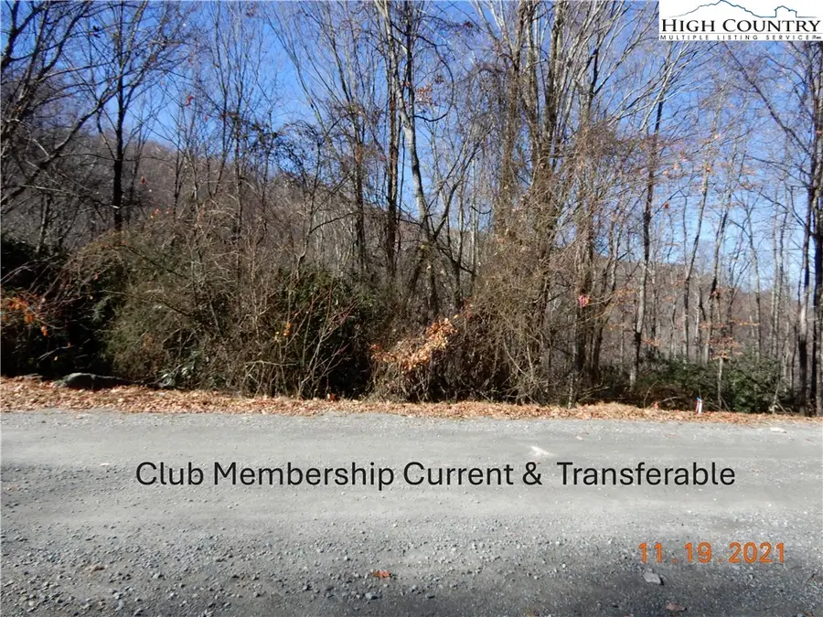 327 Locust Ridge Road, Beech Mountain, NC 28604 - #2