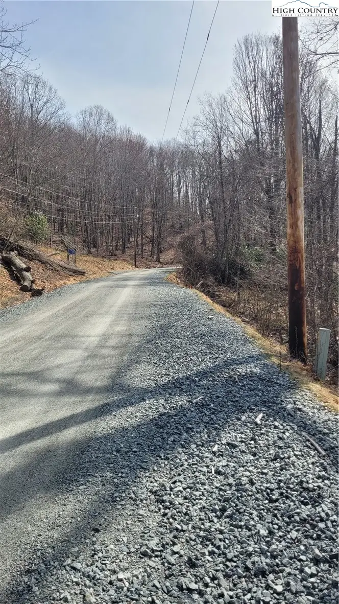 327 Locust Ridge Road, Beech Mountain, NC 28604 - #3