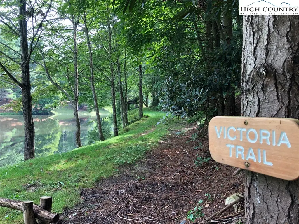 Tract 101 Valle Cay Drive, Vilas, NC 28692 - #1