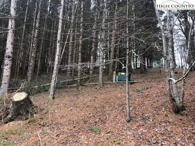 Tract 101 Valle Cay Drive, Vilas, NC 28692 - #2