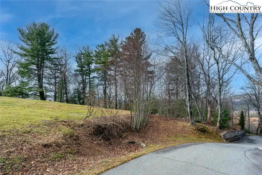 Lot 250 Thunderhill Trail, Blowing Rock, NC 28605 - #2