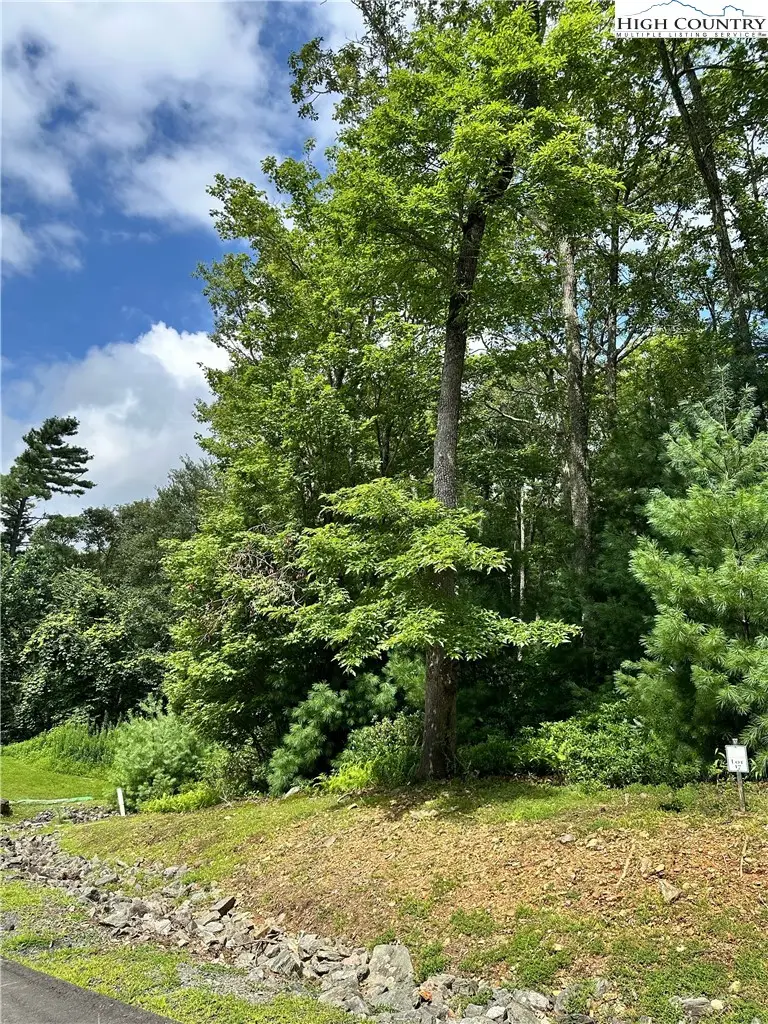 Lot 16 & 17 Sunset Ridge, Boone, NC 28607 - #1