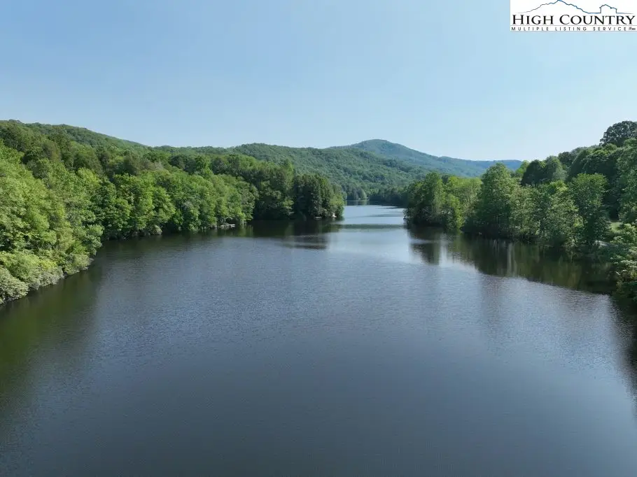 1764 Ripshin Mountain Road, Roan Mountain, TN 37687 - #1
