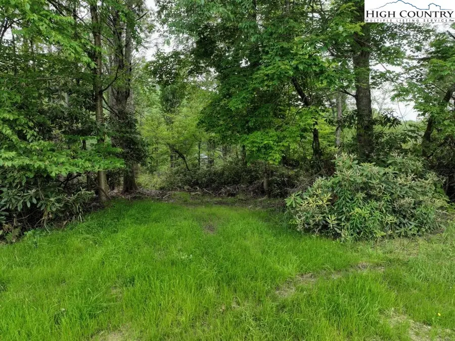 1776 Ripshin Mountain Road, Roan Mountain, TN 37687 - #2