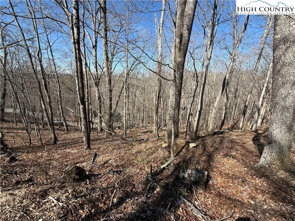Lot 45 Happyland Road #45, Piney Creek, NC 28631 - #1