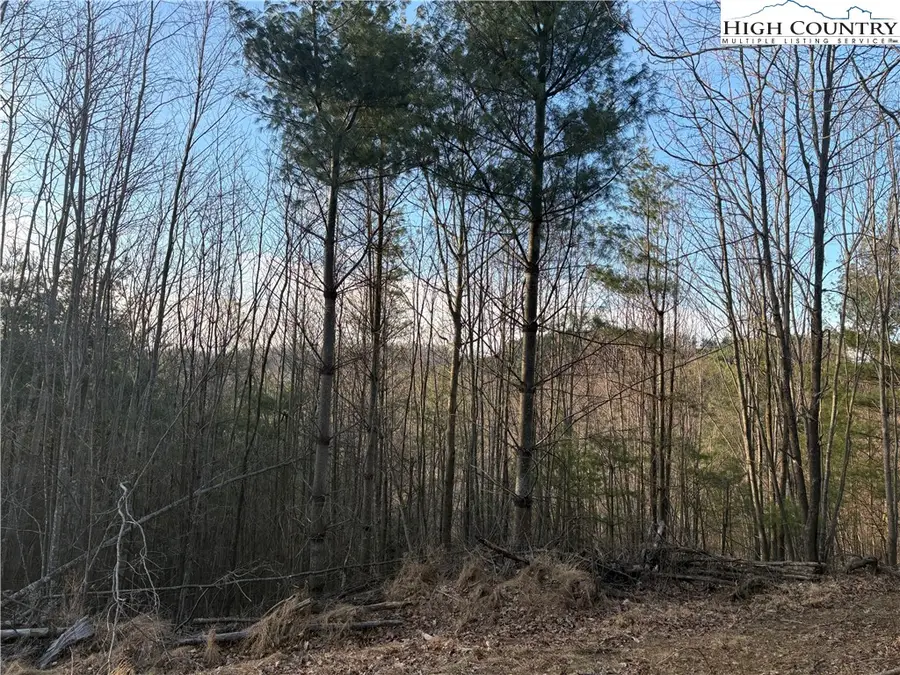 TBD Prathers Creek Church Road, Laurel Springs, NC 28644 - #2