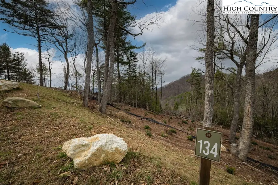 Lot 134 Autumn Sunset Overlook Trail, Deep Gap, NC 28618 - #3